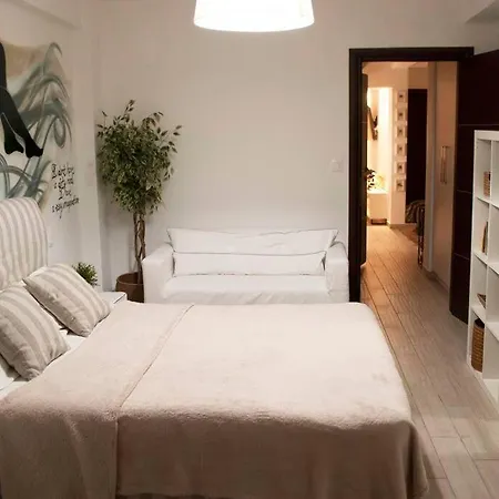 The Excellent Home-3